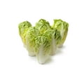 thumbnail image 3 of 3000 Seeds LITTLE GEM LETTUCE Small Romaine Butterhead Lactuca Vegetable Seeds, 3 of 11