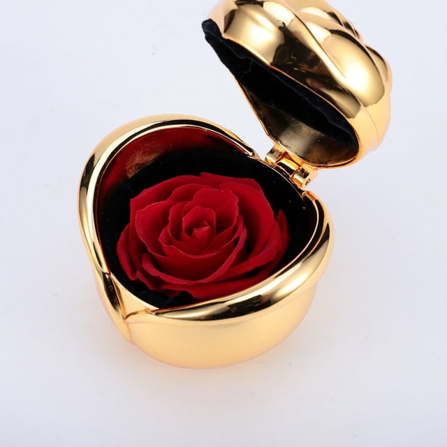 DYstyle Preserved Roses Flowers in Gift Box Romantic Gifts for Thanks Giving Female Valentine's Day