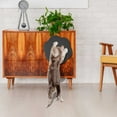 thumbnail image 4 of Stickable Scratching Board -scratch Sofa Scratch- Wear-vertical Claw Grinding Board Toys, 4 of 5