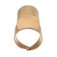 thumbnail image 1 of unbranded Anillo Deslizable Dorado Para Dulcimer Con Flexible Y Para De Folk, 1 of 6