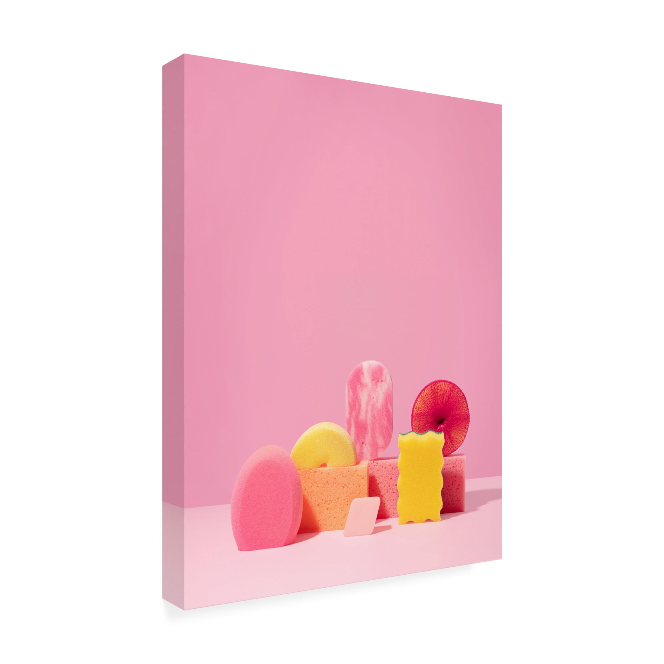 Canvas Wall Art - Julia Ramiro 'Esponjas 1' Wall Art for Living Room, Bedroom, or Office D?cor by Trademark Fine Art - 35 x 47 Inches