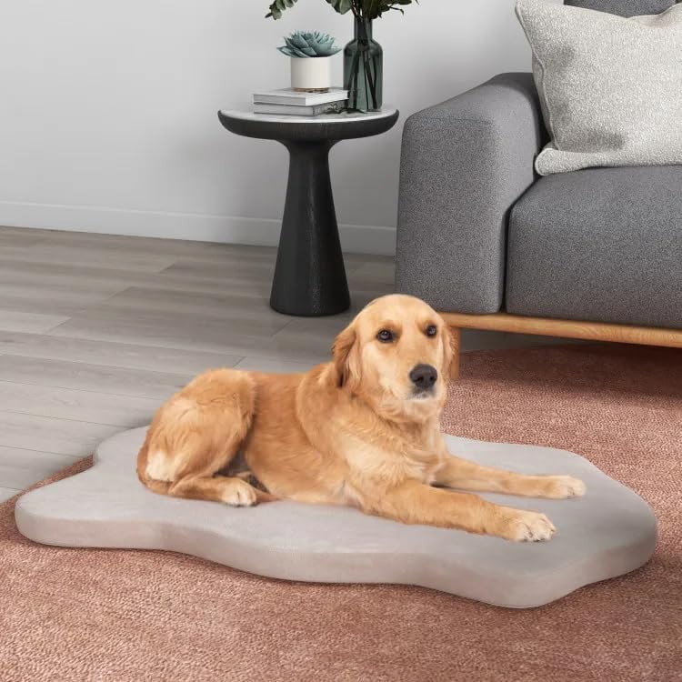 Orthopedic Dog Bed with Memory Foam Support Waterproof Dog Mattress for Large and Medium Dogs (Beige)