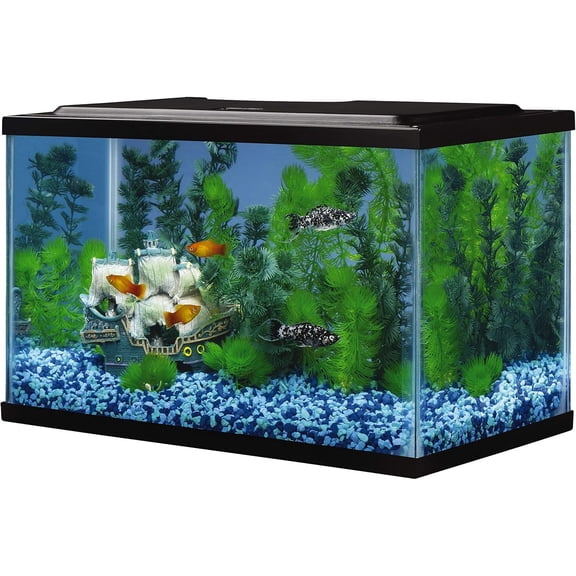 Glass Aquarium 5.5 Gallons, Rectangular Fish Tank