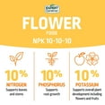 thumbnail image 4 of Expert Gardener Flower Plant Food Fertilizer 10-10-10, 4 lb., 4 of 9