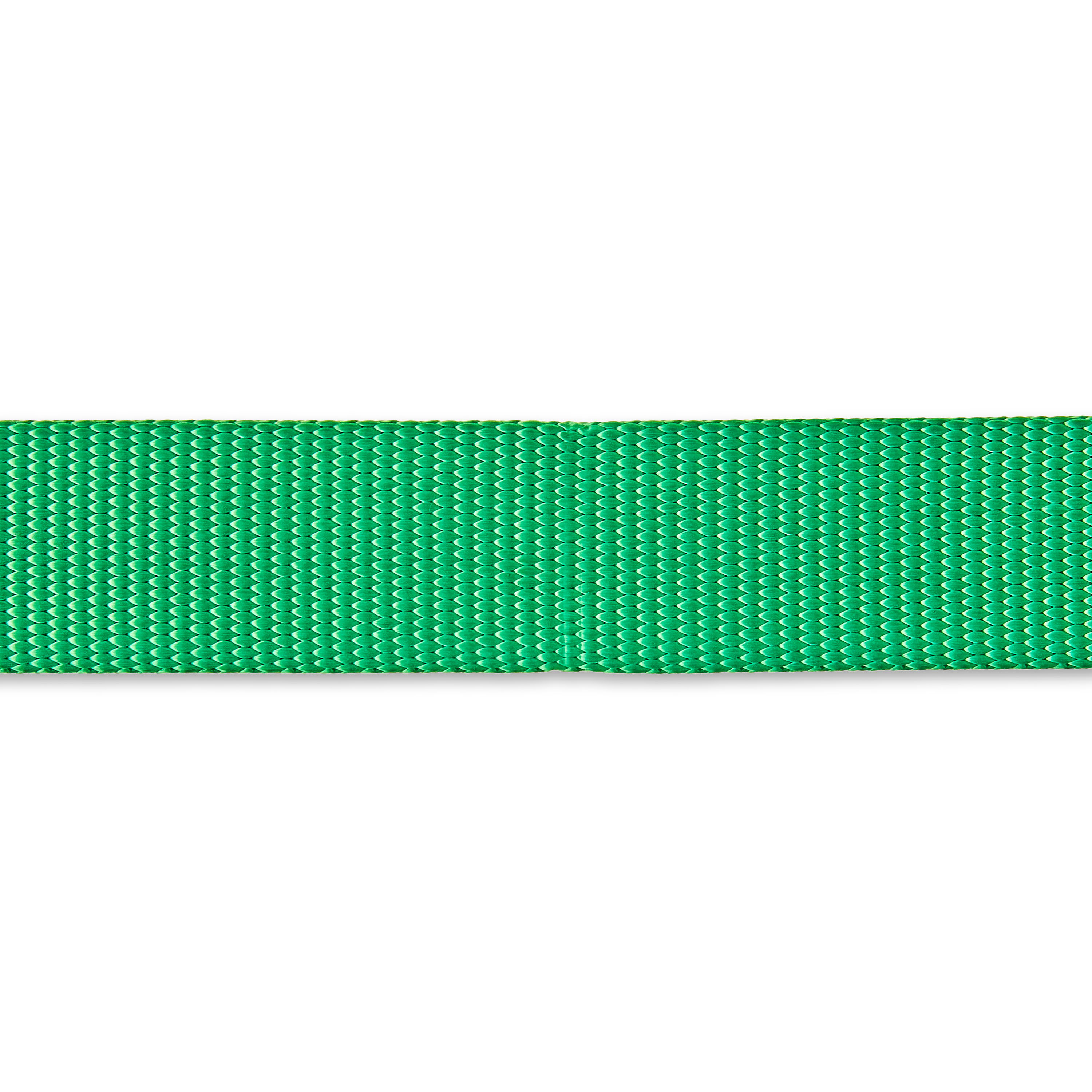 Vibrant Life 4' Polyester Standard Dog Leash, Green