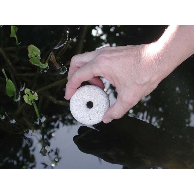 Mosquito Dunks Biological Mosquito Control 6 Pack Kills Larvae in