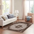 thumbnail image 2 of FJPT Vintage Floral Medallion Border Design Soft Small Area Rugs Non Slip Indoor Floor Carpet for Living Room Bedroom Decor, 2 of 5