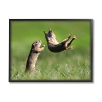 Stupell Industries Prairie Dogs Photography Animals & Insects Photography Black Framed Art Print Wall Art, 20 x 16