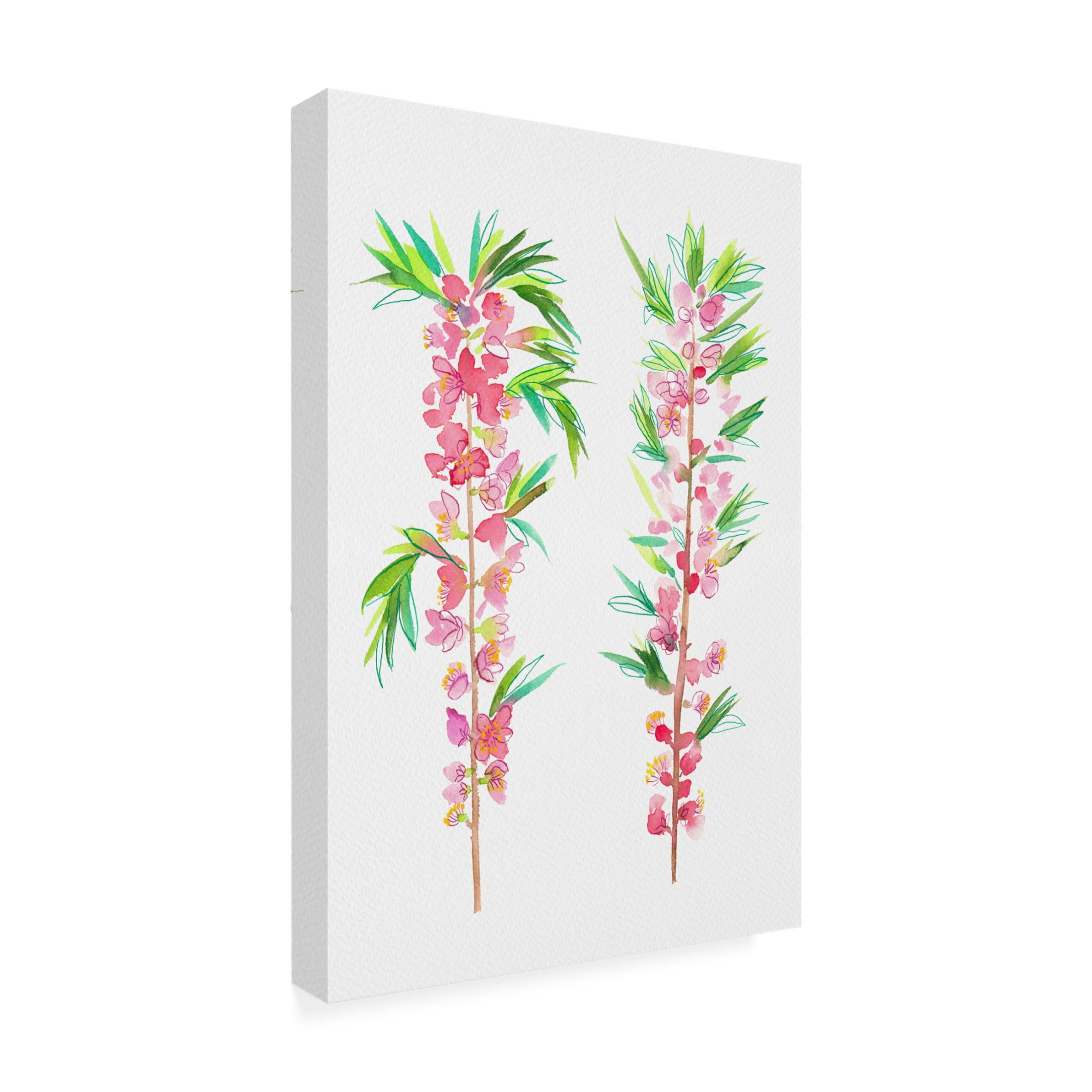 Trademark Fine Art Kata Botanical Dwarf Russian almond or Prunus tenella botanical painting Canvas Wall Art