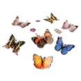 thumbnail image 5 of Insect Lore Mini Butterfly Garden® Gift Set With Live Caterpillars, 5 of 11