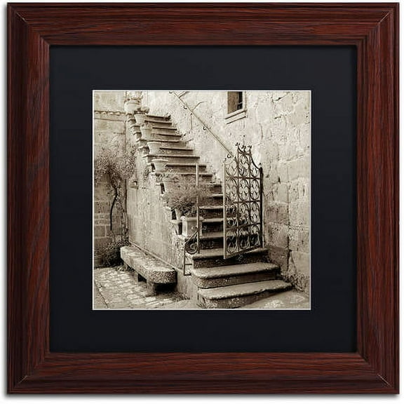 Trademark Fine Art "Umbria Scala I" Canvas Art by Alan Blaustein, Black Matte, Wood Frame