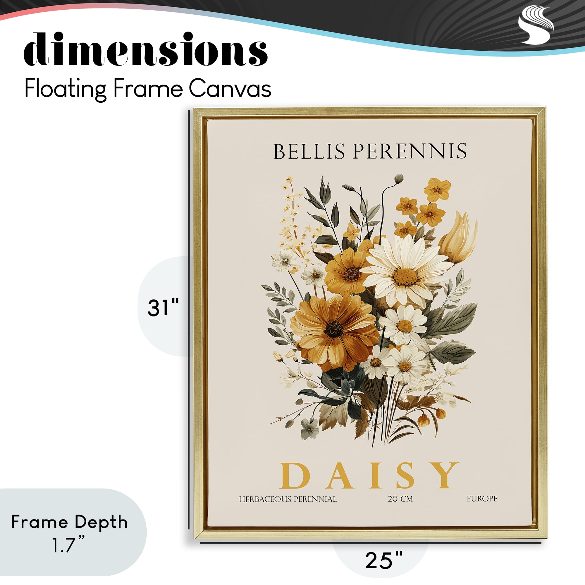 Stupell Industries Nature Daisy Bundle Gold Framed Floater Canvas Wall Art, design by Christopher Giampietro
