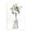 Eucalyptus Bottle Vase, variant on Stupell Industries Transitional Eucalyptus Herbs Bottle Vase Black Floating Frame Canvas Art, 25 x 31, by Carol Robinson