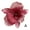 Red, variant on SSKFHGI Phalaenopsis French Retro Hair Clip Simulation Flower Hairpin K