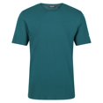thumbnail image 1 of Regatta - Camiseta Ligero Tait Hombres (Verde Pacífico), 1 of 6