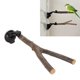 thumbnail image 5 of Soporte Para Percha De Rama De Pájaro, Molido De Garra De Percha De Madera Ajustable Interactivo Para Prevenir Resbalones Entrenamiento Con Ventosa Para Cacatúas Para Pájaros, 5 of 7