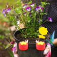 thumbnail image 3 of Humming-Bird Feeder,Handheld Humming Bird Feeder with Clip for Window Garden Decor | Flower Shape Humming-Bird Feeders for Outdoors Birds Feeding Tools Southface, 3 of 8