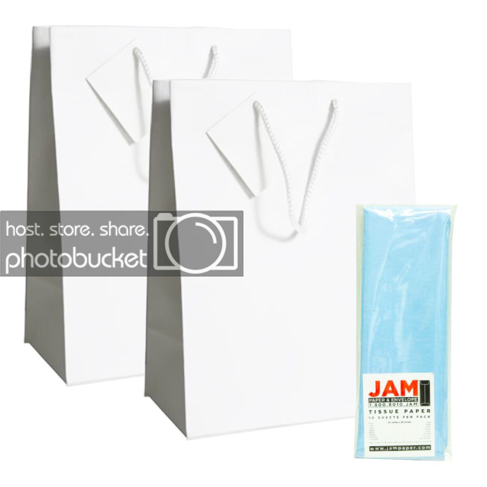JAM Gift Bag Assortment, 2 White Bags & Baby Blue Tissue Paper, 3/Pack