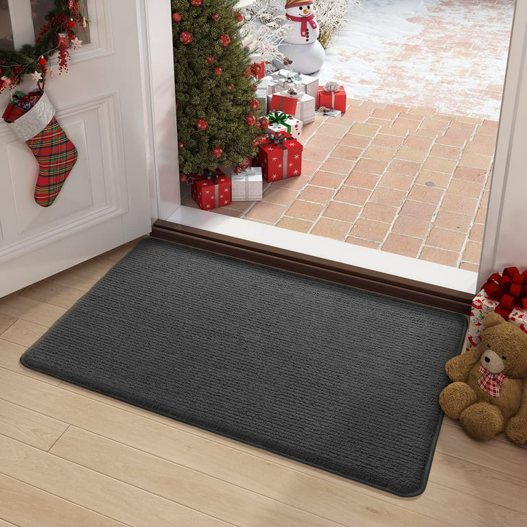 Walensee Indoor Doormat, Front Door Mat for Entrance, 36x59 Brown