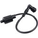 thumbnail image 2 of Bobina para 50cc 90cc 110cc 125cc 150cc 200cc 250cc ATV Quad Dirt Pit Bike Scooter Buggy motocicleta Go Kart JAMW, 2 of 4