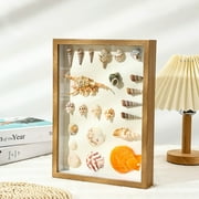 Balieda Shadow Box Frame Display Case, Flower Display 3D Picture Frames, Seashell Display Box with Thickened Glass for Desktop Decoration