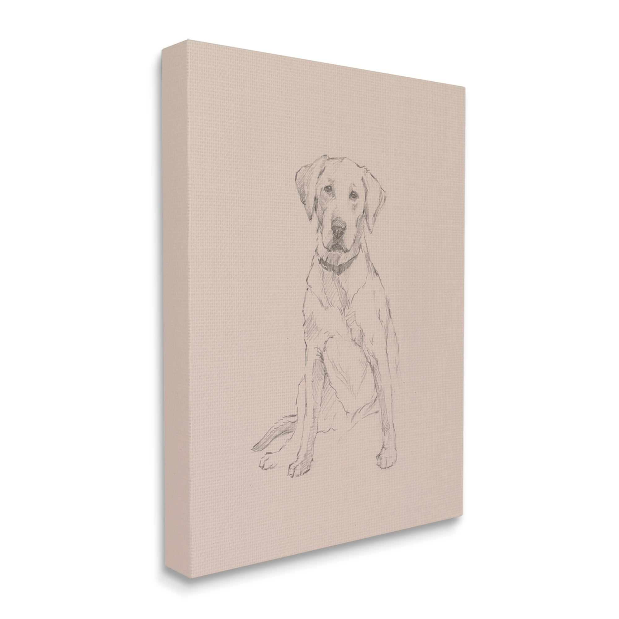 Stupell Retriever Drawing Animal Portrait Animals & Insects Drawing Gallery Wrapped Canvas Print Wall Art