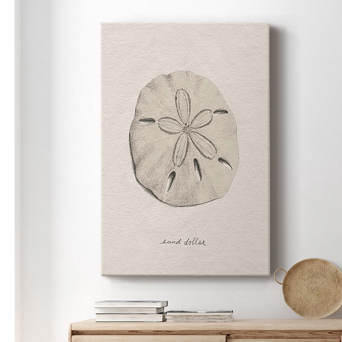 Shore Treasure Study III Premium Gallery Wrapped Canvas - Ready to Hang