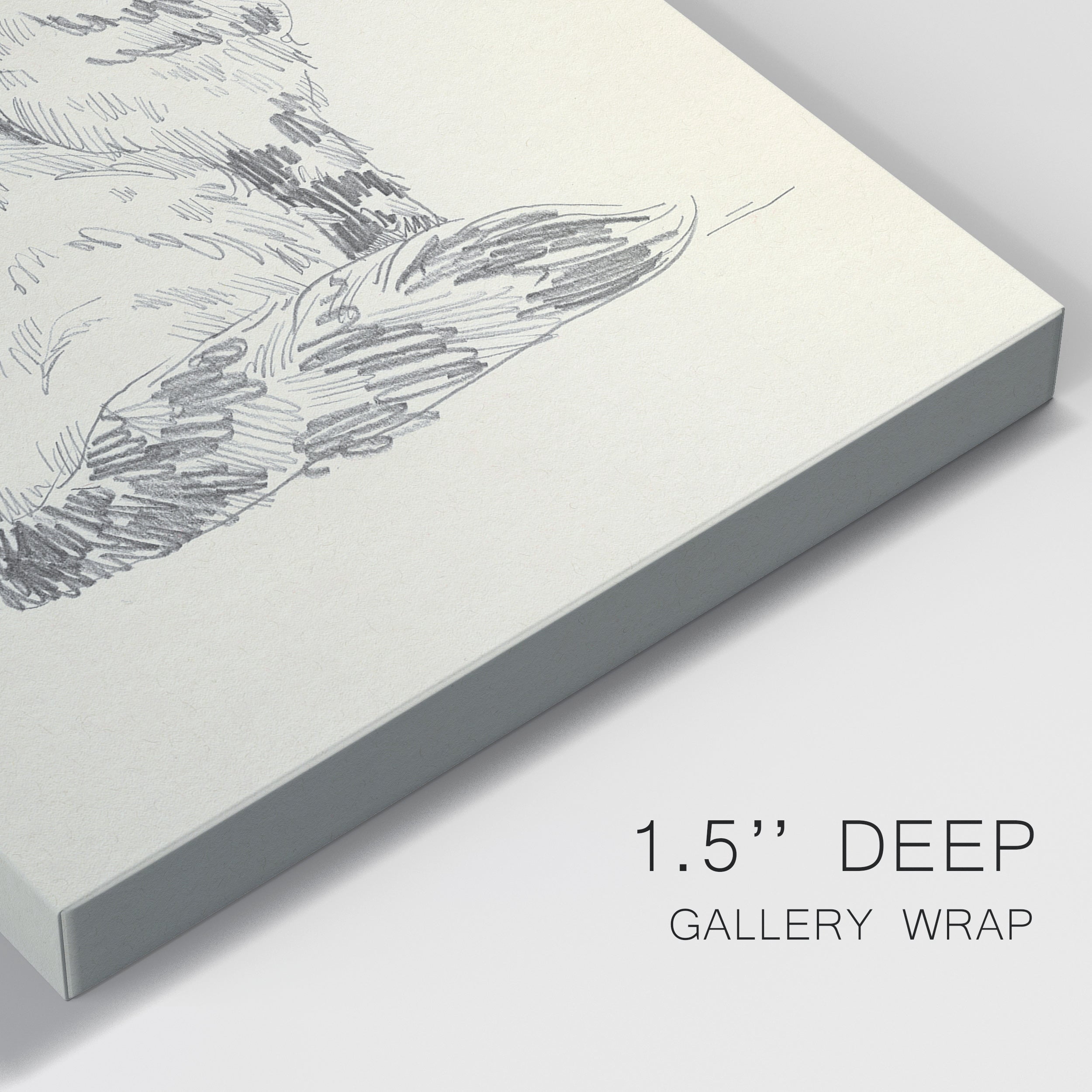 House Cat VI Premium Gallery Wrapped Canvas - Ready to Hang