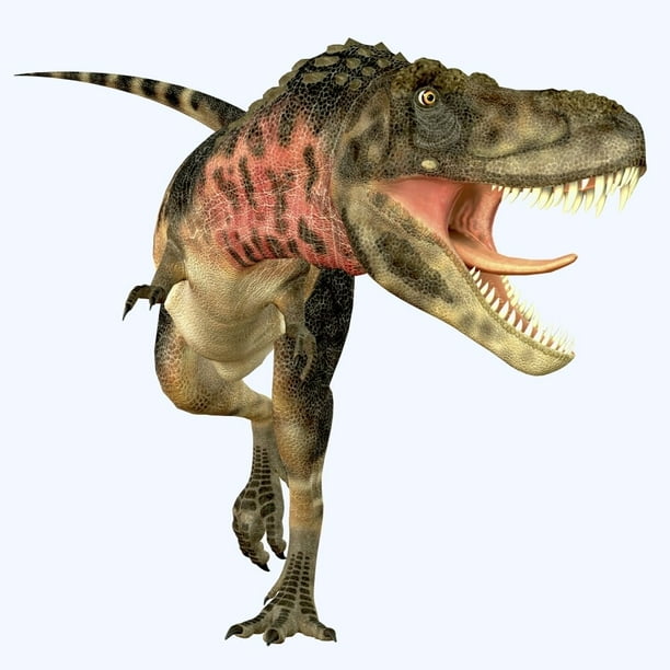 carnivorous dinosaurs by size
