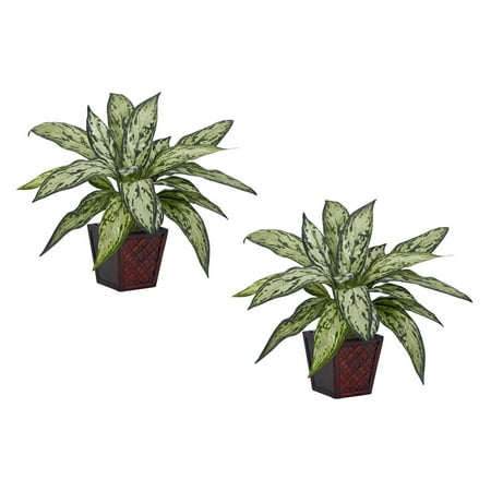 Silver Queen Silk Plant, Green, 2pc