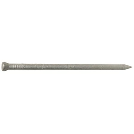 

461301 2 in. 6D Galvanized Casing Nails