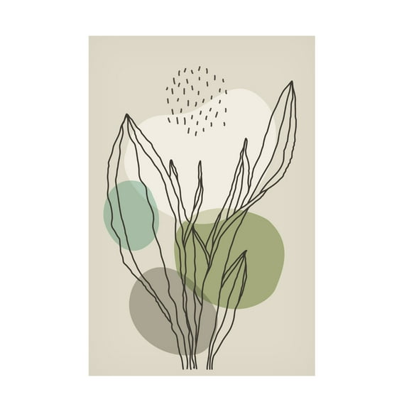 Trademark Fine Art jay stanley Color Abstract Plants 3 Canvas Wall Art