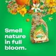 Gain Botanicals Plant Based Laundry Detergent, Orange Blossom Vanilla