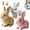 Brown*white*pink, variant on Bunby - My Realistic Bunny Toy, Bunny Realistic Bunny, Bunny Realistic Bunny Toy, Interactive Bunny Realistic Bunny-Jumping, Twitching, and Shaking Ears, Bunbi Realistic Bunny (Brown)