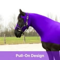 thumbnail image 3 of Resistance Horse Hood Pull-On with Face & Forelock Saver, Lycra Material, All Season, Small - Xlarge sizes, 3 of 7