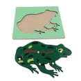 thumbnail image 3 of de Rompecabezas de Bloques de Animales para , Rompecabezas de , Juguete de Desarrollo de Animales SM SunniMix Juguete de madera Montessori, 3 of 8