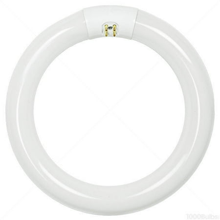 22w Circline T9 Lamp - FC8T9/D - 22W T9 6500K Circline Bulb - Eiko 15532