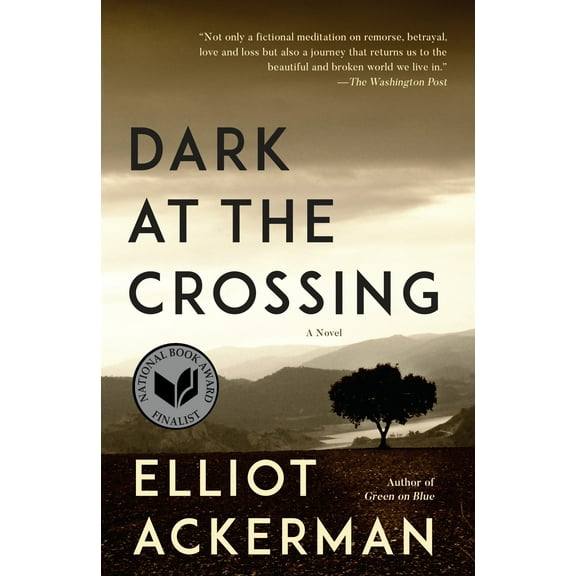Dark at the Crossing (Paperback)