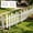 White, variant on Mini Garden Fence - 19.7x15.7 Inch White Plastic Yard Edging with Ground Stakes for Flower Beds, Lawn Borders, and Patio Landscaping