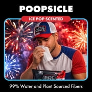 DUDE Wipes Poopsicle, Ice Pop Scented Extra Large Flushable Wipes, 48 Count, 5 Pack (240 Total)
