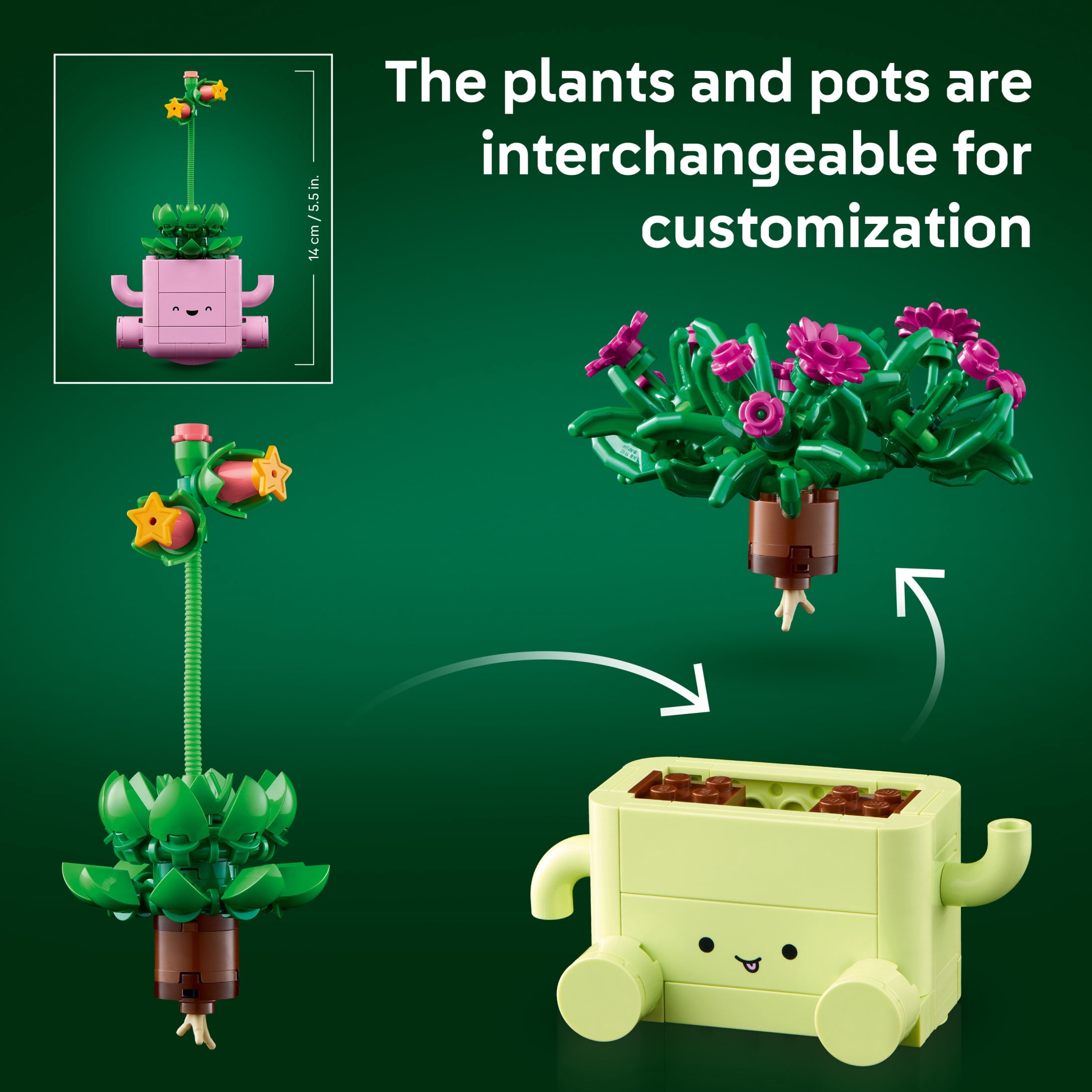 LEGO Botanicals Rocking Plants - Building Toy for Kids, Girls & Boys, Ages 9+ - Home Decor for Bedroom or Book Shelf - Housewarming Gift Ideas - 11506