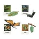 thumbnail image 5 of Juguetes de ciclo de vida Montessori, figuras educativas de biología y crecimiento animal Mariposa, 5 of 9
