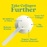 Further Food Vanilla Collagen (10.37oz)