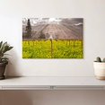 thumbnail image 2 of Elephant Stock Napa Valley Vineyards Wall Art - Horizontal Canvas Wall Art - Dining Room Wall Decor - Nature Canvas - Green And Yellow Decor - 12" x 8", 2 of 8