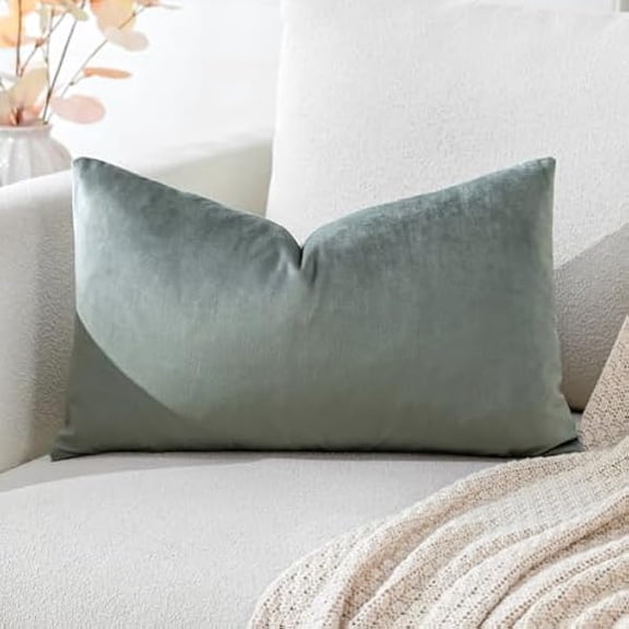 Eryueer Luxury Velvet Cushion Covers Super Soft Decorative Throw Pillow Covers Case Lumbar Cushion Cases for Sofa Couch Bedroom Car Decor 30x50cm Dark Gray