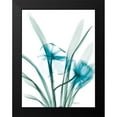 thumbnail image 2 of Koetsier, Albert 19x24 Black Modern Framed Museum Art Print Titled - Aqua Dedrodium Orchid, 2 of 5