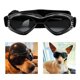 thumbnail image 3 of Gafas de perro Colco de terre protección contra el correa Plegable a prueba de nieve, 3 of 8