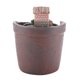 thumbnail image 1 of Pequeñas macetas para macetas Diseño de la casa Resina de cactus Maceta Jardinera Maceta de plantas suculentas para el hogar Decoración de escritorio ANGGREK Otros, 1 of 8