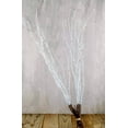 thumbnail image 1 of Natural Beech Branches Sparkled White (9 Branches), 1 of 4