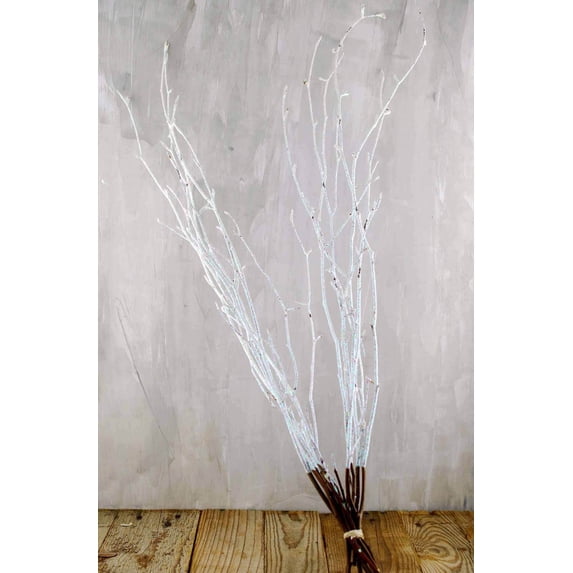 Natural Beech Branches Sparkled White (9 Branches)